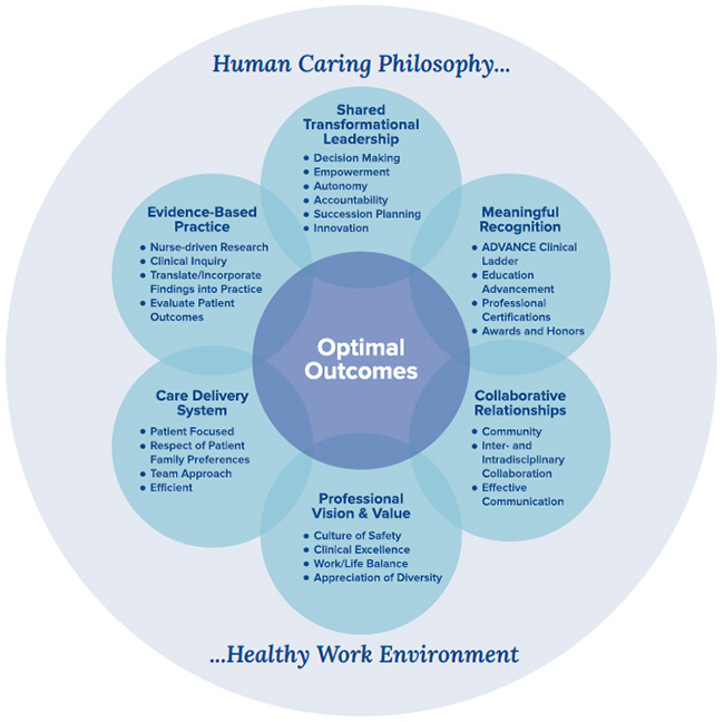 professional practice model