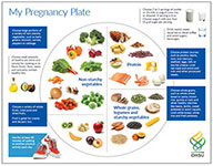 My Pregnancy Plate