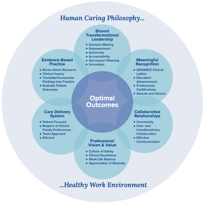 Professional Practice Model graphic