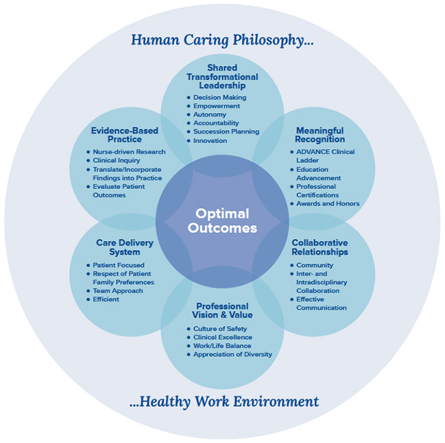 professional practice model