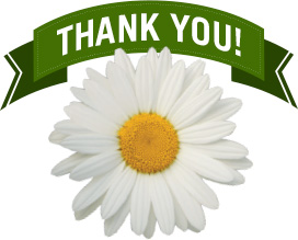 Thank you and a daisy