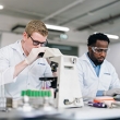 lab researchers 